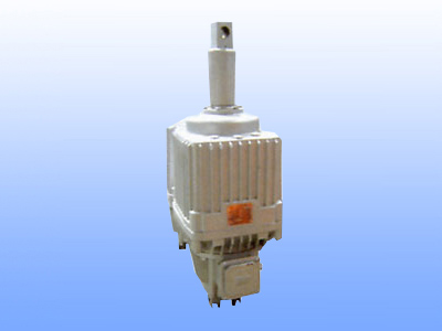 ED系列電力液壓推動(dòng)器